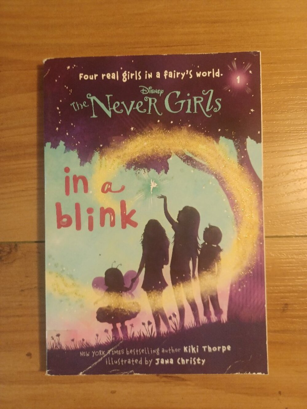 Never Girls # 1: In A Blink (Disney: The Never Girls) Book
